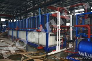 弗格森大型日產(chǎn)250噸鋁板蒸發(fā)式直冷塊冰機 長期供應(yīng)全球大型制冰工廠